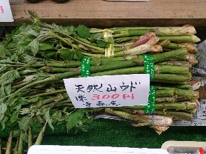 20140524 -T̔ł-_10