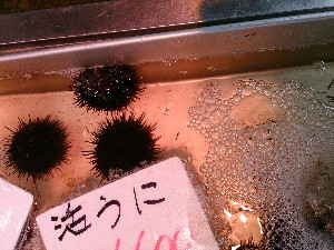 20140524 -T̔ł-_30