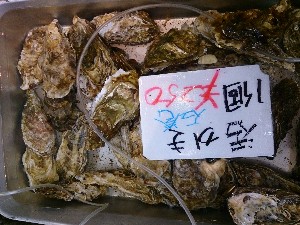 20140524 -T̔ł-_32