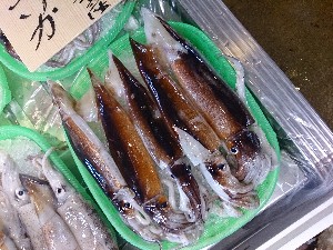 20140524 -T̔ł-_36