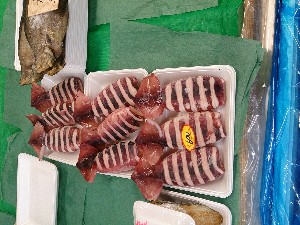 20140524 -T̔ł-_42
