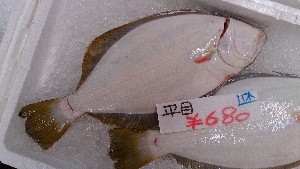 20140531 -T̔ł-_21