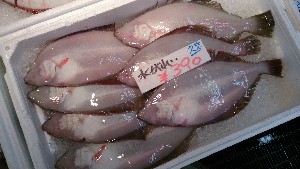 20140531 -T̔ł-_22