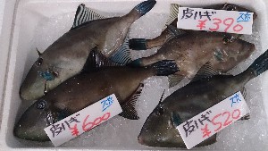 20140531 -T̔ł-_24