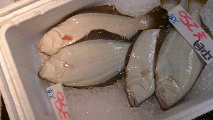 20130621 - T̔ł@-_32