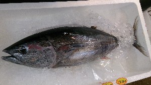 20130621 - T̔ł@-_47