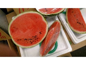 20140712  - T̔ł -_24