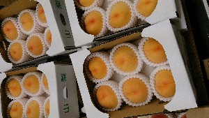 20140719  - T̔ł -_20