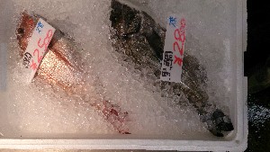 20140719  - T̔ł -_28