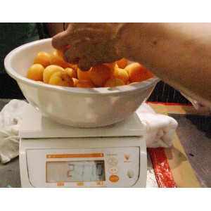 20140713  - W{Ă̔閧ƍ -_19