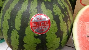 20140726  - T̔ł -_18