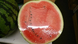 20140726  - T̔ł -_19