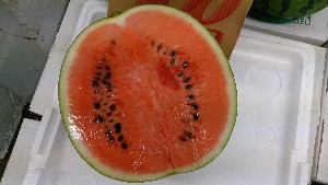 20140816  - T̔ł -_13