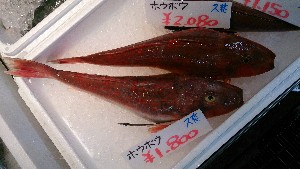 20140816  - T̔ł -_19
