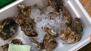 20140816  - T̔ł -_27