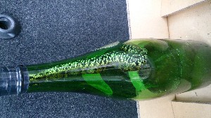 20140816  - T̔ł -_28