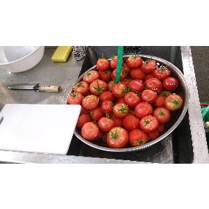 20140817 - Ė؃J[̂U镑 -_2