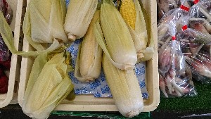 20140823 - T̔ł -_12