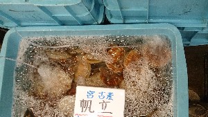 20140823 - T̔ł -_18