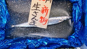 20140823 - T̔ł -_28