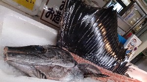 20140906 - T̔ł -_18
