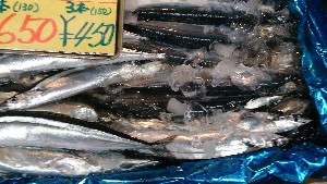 20140906 - T̔ł -_19