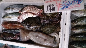 20140927 - T̔ł@-_35