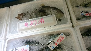 20141004 | T̔ł -_24