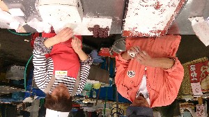 20141012 | VƐVĂĂ̑啟 -_14