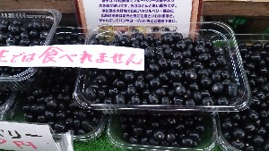 20141018 | T̔ł -_20
