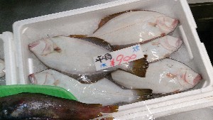 20141018 | T̔ł -_44