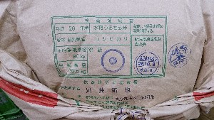 20141018 | T̔ł -_61