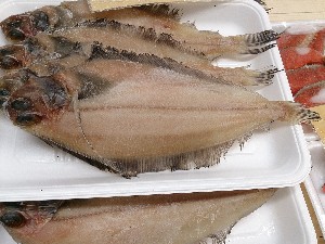 20141025 | T̔ł -_38