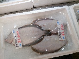 20141025 | T̔ł -_39