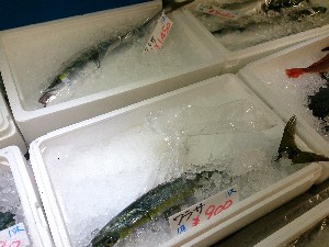 20141025 | T̔ł -_40