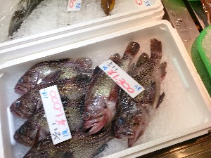 20141025 | T̔ł -_45
