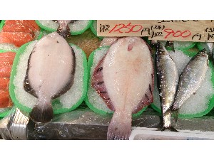 20141025 | T̔ł -_58