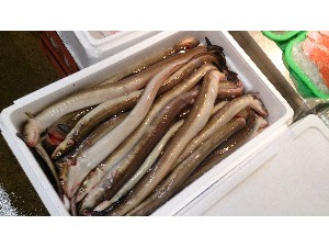 20141025 | T̔ł -_59