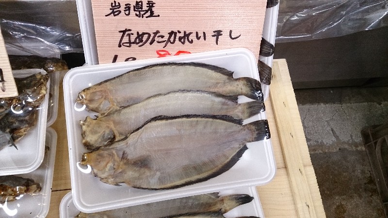 20141101 | T̔ł -_24