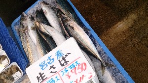 20141108 - T̔ł - _17