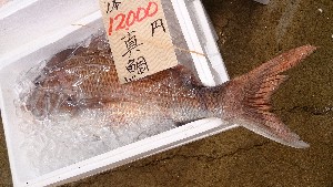 20141108 - T̔ł - _26