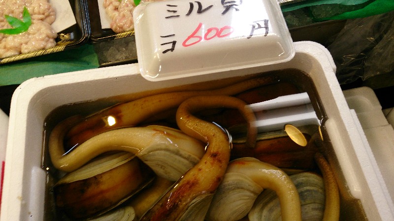 20141206 | T̔ł |_61