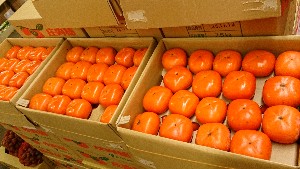 20141213 -T̔ł-_15