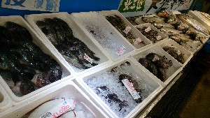 20141213 -T̔ł-_21