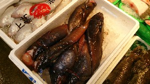 20141213 -T̔ł-_38
