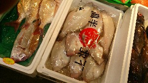 20141213 -T̔ł-_39