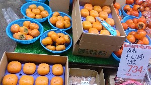 20141227 -T̔ł-_25