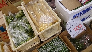 20141227 -T̔ł-_28