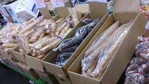 20141227 -T̔ł-_30
