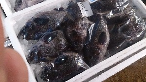 20141227 -T̔ł-_31